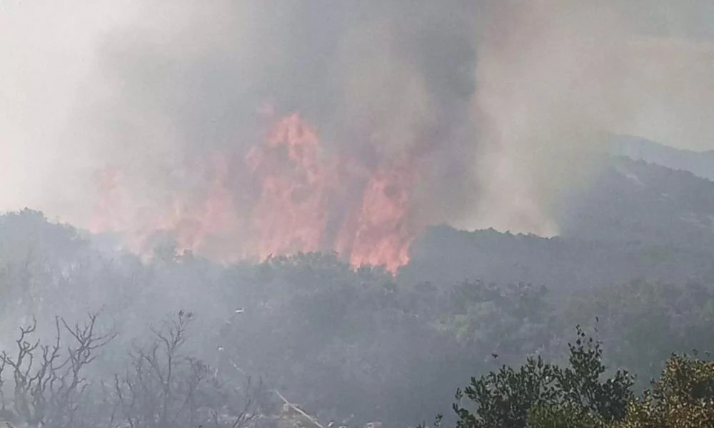 Φωτιά ξέσπασε σε δασική έκταση στο Πόρτο Γερμενό